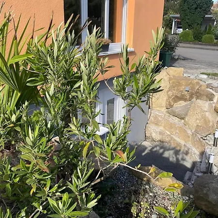 Apartment Carpe Diem *