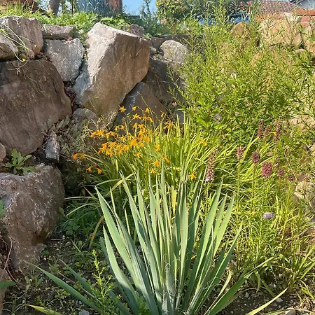 Apartment Carpe Diem Altshausen